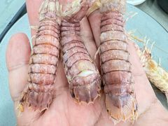 -仙螺岛海鲜自助餐厅(总店)