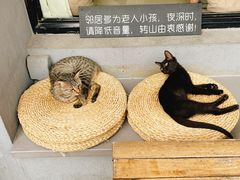 -转山咖啡(松柏社区店)