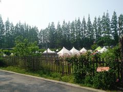 -前小桔亲子创意农场·草莓采摘·露营烧烤