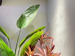 -喜来稀肉(罗斯福店)