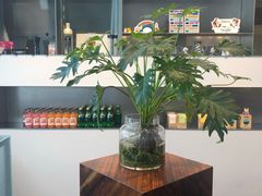 -Seesaw Coffee(上海尚悦湾店)