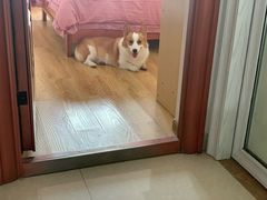 -壹煲口福煲仔饭(中山路店)