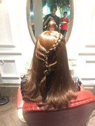 点击看大图 -金棕榈