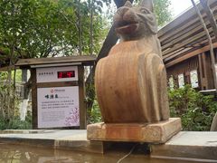 -张家港金凤凰度假村温泉