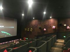 -大地影院(上海南汇店)