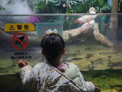 -合肥海洋世界