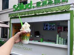 -Salud撒露欧洲冻酸奶(798艺术区店)