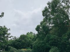 -菊花台公园