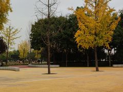 -西安浐灞国家湿地公园