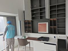 -Liteclear日本进口强效除甲醛检测治理(旗舰店)