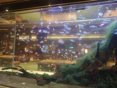 -大江户·温泉洗浴(浑南店)