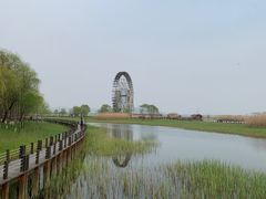 -太湖湖滨国家湿地公园-停车场