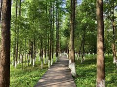 -艾溪湖湿地公园