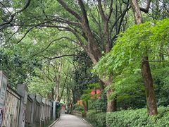 -杭州半山国家森林公园