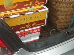 -双福水果批发市场