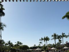 -亚龙湾希尔顿自助餐厅·海鲜·烧烤·沙滩BBQ·现场乐队