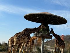 -南京金牛湖风景区