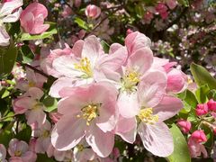 -南开大学(津南校区)