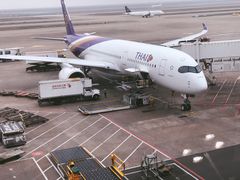 -新加坡航空公司(ION)