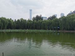 -团结湖公园