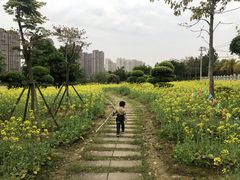 -龙江公园