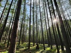 -洛阳白云山景区