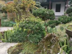 -成都杜甫草堂博物馆