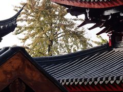 -鸡鸣寺