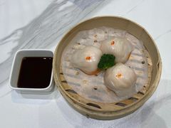 -丁老爷子苏香圆