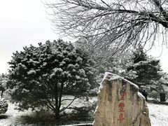 -丰台花园