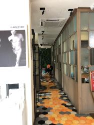-苑苑发型设计