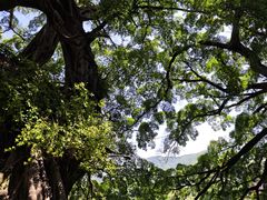 -福建土楼（南靖）云水谣景区-和贵楼