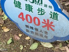 -伯先公园