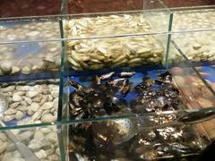 -比亚森自助烤肉料理(裕华店)