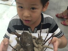 -蕃茄田艺术•美术绘画 •硬笔书法(滨江海威领界店)