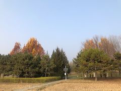 -北坞公园