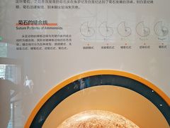 -湖南省地质博物馆