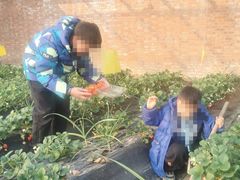 -红石沟生态休闲农场