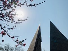 -桃花堤公园