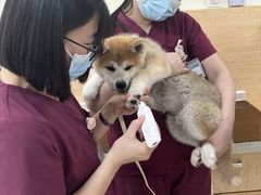 -美联众合动物医院·24h京西诊疗中心