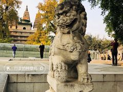 -北京石刻艺术博物馆(五塔寺)