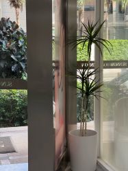 -首脑美发沙龙