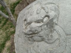 -莲花池公园