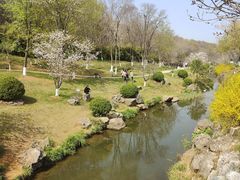 -羊山湖公园