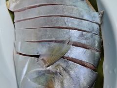 -小海豚•老字号海鲜餐厅(天涯店)