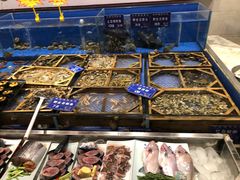 -77号渔船·蒸海鲜青岛菜(积米崖店)