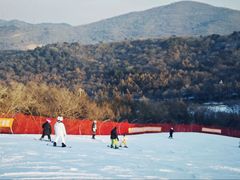 -东北亚滑雪场
