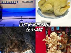 -广东省博物馆