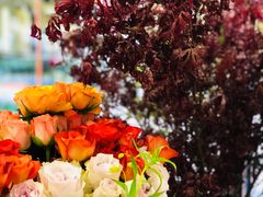 -二酉书店TOYOU BOOKS