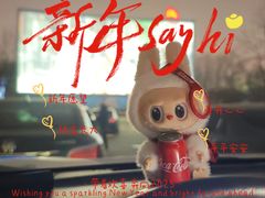 -枫花园汽车电影院(朝阳公园店)